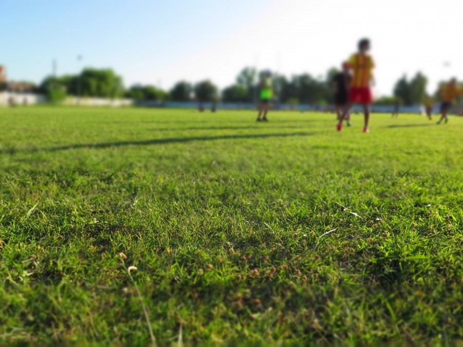 futbol, deportes, partido, juego, gente, equipo, equipos, verano, actividad, adulto, 
