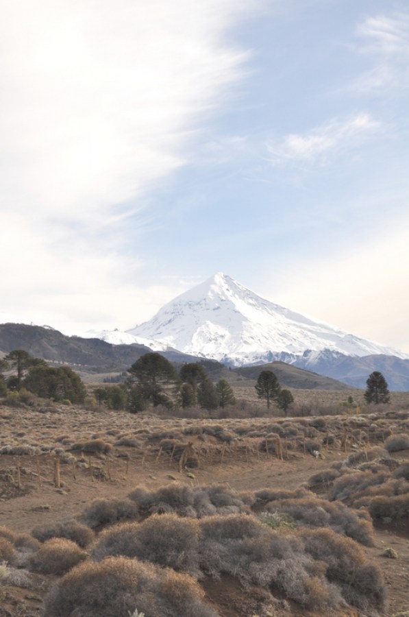 patagonia, neuquen, volcan, lanin, nieve, paisaje, montaña, nadie, dia, argentina,, campo, invierno, atardecer,