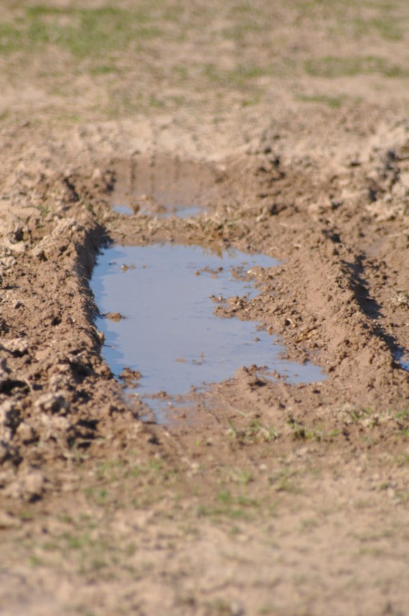 Textura,Texturas,tierra,Seca,quebradizo,cuarteada,Arido,Terreno,Marron,Agrietado,Paisaje Arido,Fondos,Sequia, charco, agua, barro