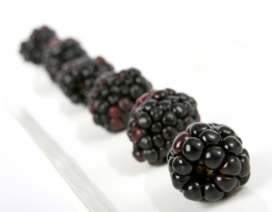 fresa, frambuesa, mora, negra, morado, negro, fondo blanco, frutas, frutas, plato, postre, 