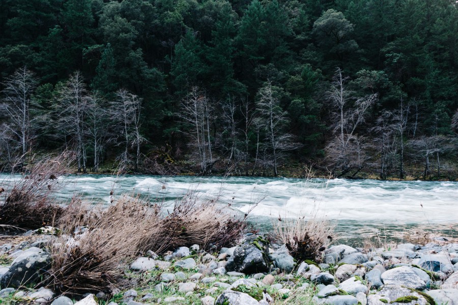 paisaje, bosque, rio, montaña, agua, rapidos, exterior, naturaleza, 
