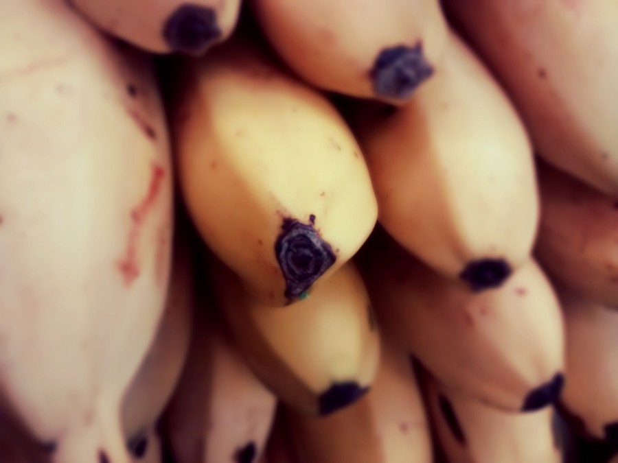 banana, bananas, frutas, primer plano, 