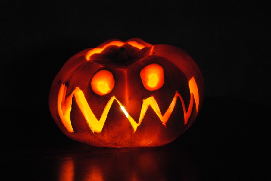 Halloween, calabaza, horror, luz, nadie, miedo, iluminado,