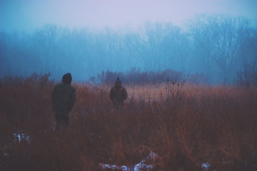 dos personas, gente, exterior, campo, bosque, invierno, paisaje, 