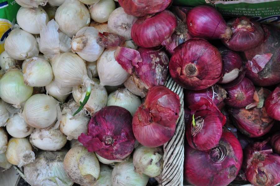 verdura,verduras,verduleria,cebolla,cebollas,vista de frente,color,blanco,interior,,P12062014