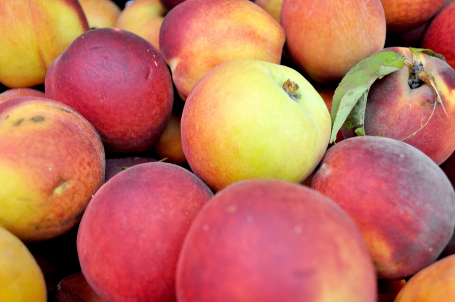 frutas,comidas,fondo,background,durazno,duraznos,vista de frente,fresco,frescura,rojo,anaranjado,,P12062014