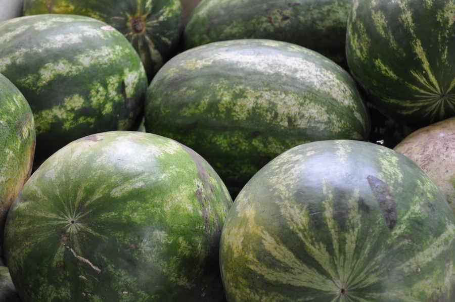 sandia,frutas,Citrullus lanatus,verde,fondo, ,P12062014