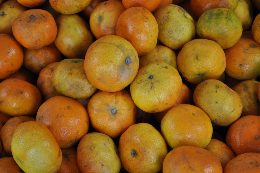 mandarina,mandarinas,naranja,frutas,mucho,muchos,fondo,background,P12062014