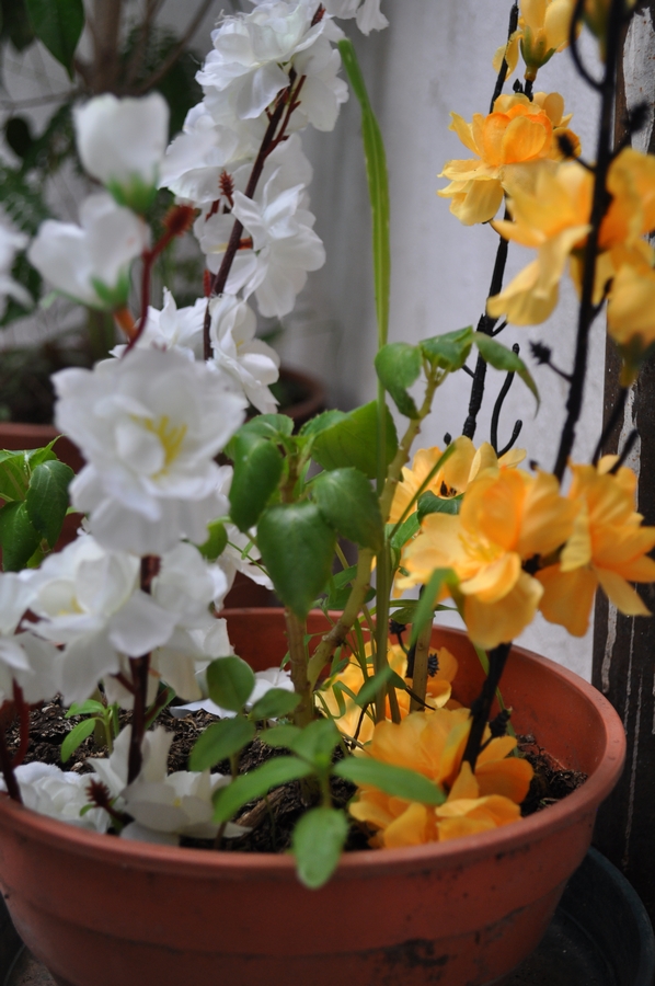 flor,flores,maceta,jardin,amarillo,blanco,plastico,artificial,,P12062014