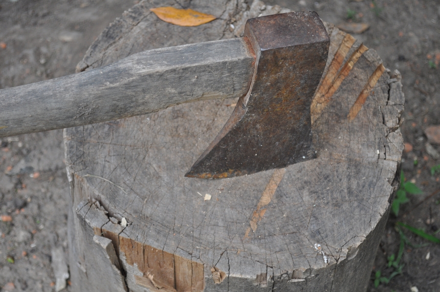 hacha,tronco,madera,leña,leñador,herramienta,metales,hierro,fuerte,,P12062014