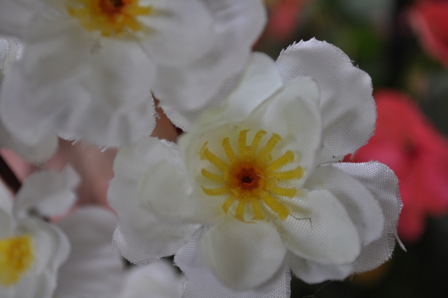 flores,flor,blanco,blanca,vista de frente,primer plano,nadie,petalo,petalos,artificial,plastico,,P12062014