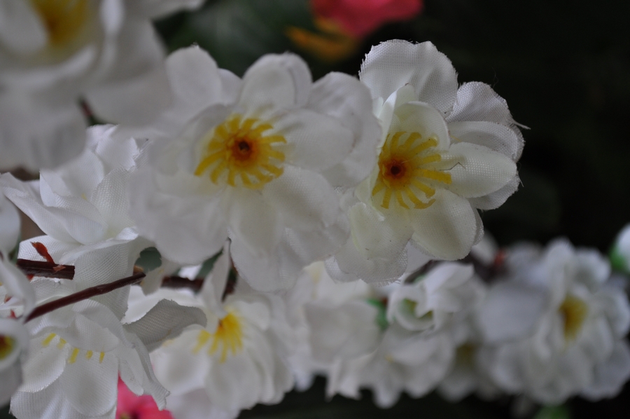 flores,flor,blanco,blanca,vista de frente,primer plano,nadie,petalo,petalos,artificial,plastico,,P12062014