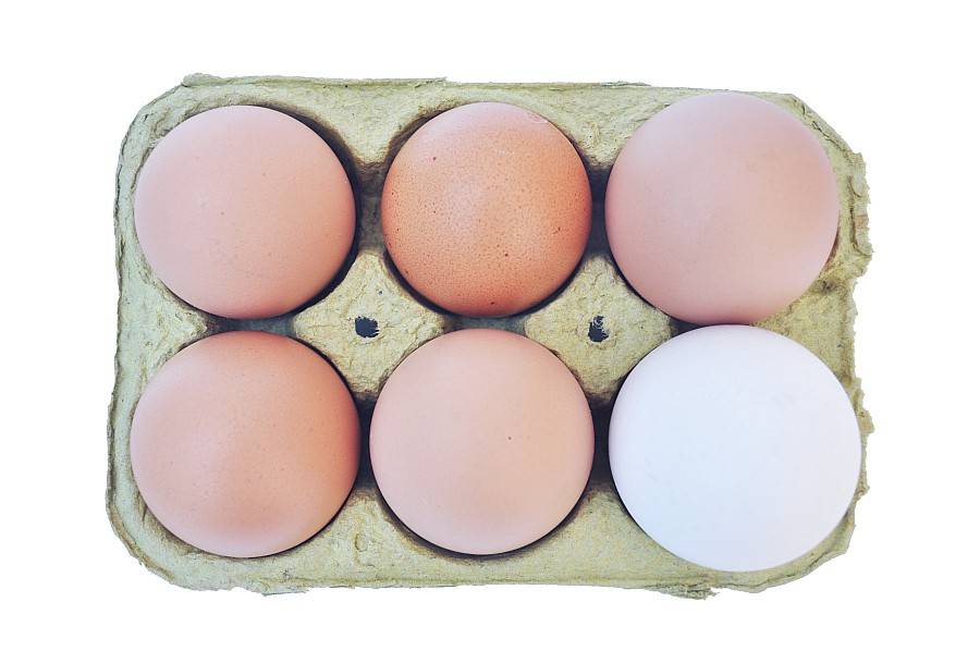 Huevera, Huevo, Huevos, Fondo Blanco, Crudo, Seis Objetos, Diferente, Distinto, Concepto,P052014, Freejpg
