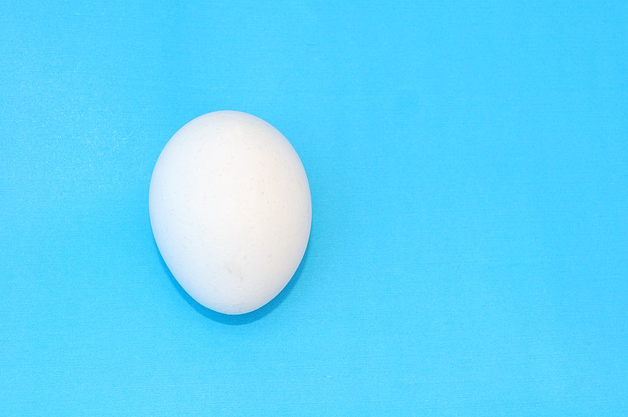 Huevo, Huevos, Blanco, Un Objeto, Fondo Celeste, Crudo,P052014, Freejpg